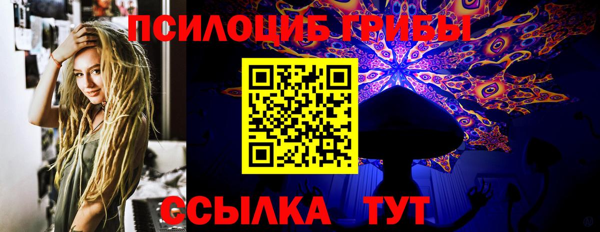 Галлюциногенные грибы Cubensis  Псилоцибиновые грибы прущие грибы  Вход с VPN  Благовещенск 